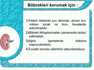 Böbrekleri korumak için :


1)Yeterli miktarda sıvı alınmalı, alınan sıvı
  miktarı sıcak ve kuru havalarda
  arttırılmalıdır.
2)Böbrek iltihaplanmaları zamanında tedavi
  edilmelidir.
3)Ağrılı           işemelerde         doktora
  başvurulmalıdır.
4)Tuvalet sonrası ellerimizi sabunlamalıyız.
 