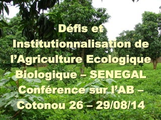 1
Défis et
Institutionnalisation de
l’Agriculture Ecologique
Biologique – SENEGAL
Conférence sur l’AB –
Cotonou 26 – 29/08/14
 