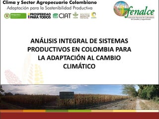 ANÁLISIS INTEGRAL DE SISTEMAS PRODUCTIVOS EN COLOMBIA PARA LA ADAPTACIÓN AL CAMBIO CLIMÁTICO  