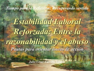 Estabilidad Laboral
Reforzada: Entre la
razonabilidad y el abuso
Pautas para orientar líneas de acción
Julio César Carrillo Guarín
Tiempo para la Reflexión: Recuperando sentido
 