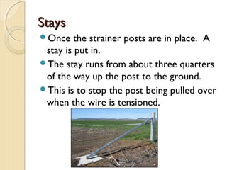 StaysStays
Once the strainer posts are in place. A
stay is put in.
The stay runs from about three quarters
of the way up the post to the ground.
This is to stop the post being pulled over
when the wire is tensioned.
 