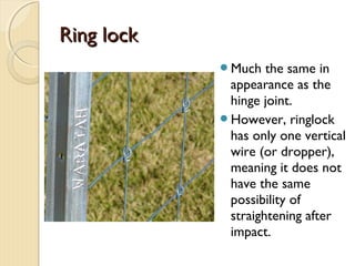 Ring lockRing lock
Much the same in
appearance as the
hinge joint.
However, ringlock
has only one vertical
wire (or dropper),
meaning it does not
have the same
possibility of
straightening after
impact.
 
