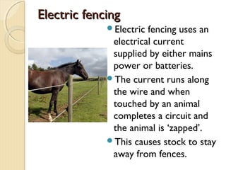 Electric fencingElectric fencing
Electric fencing uses an
electrical current
supplied by either mains
power or batteries.
The current runs along
the wire and when
touched by an animal
completes a circuit and
the animal is ‘zapped’.
This causes stock to stay
away from fences.
 