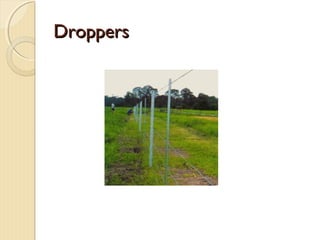 DroppersDroppers
 