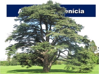 Prof. Douglas Barraqui
www.dougnahistoria.blogspot.com
A civilização feníciaA civilização fenícia
 