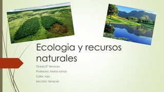 Ecologia y recursos
naturales
Grado:5° tenaces
Profesora: Marta ramos
Color: rojo
Sección: tenaces
 