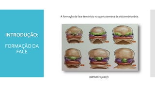 INTRODUÇÃO:
FORMAÇÃO DA
FACE
A formação da face tem início na quarta semana de vida embrionária.
(IMPARATO;2017)
 