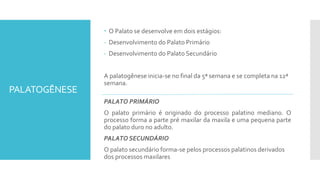 PALATOGÊNESE
 O Palato se desenvolve em dois estágios:
- Desenvolvimento do Palato Primário
- Desenvolvimento do Palato Secundário
A palatogênese inicia-se no final da 5ª semana e se completa na 12ª
semana.
PALATO PRIMÁRIO
O palato primário é originado do processo palatino mediano. O
processo forma a parte pré maxilar da maxila e uma pequena parte
do palato duro no adulto.
PALATO SECUNDÁRIO
O palato secundário forma-se pelos processos palatinos derivados
dos processos maxilares
 
