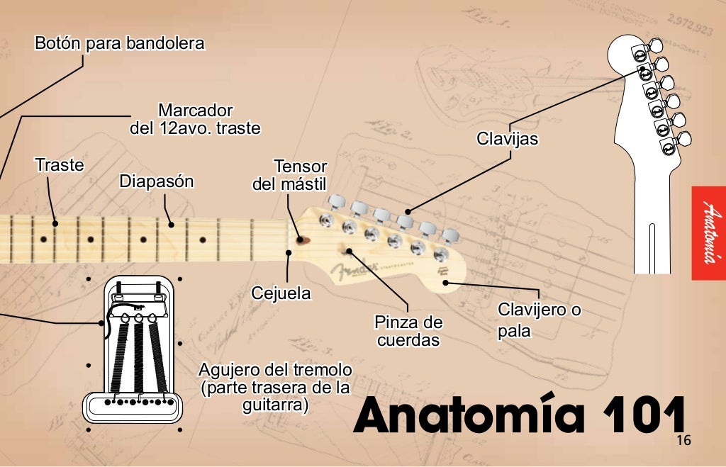 Fender electric guitars_manual_(2011)_spanish