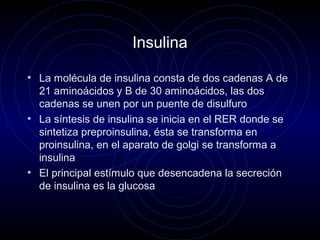 Insulina
• La molécula de insulina consta de dos cadenas A de
21 aminoácidos y B de 30 aminoácidos, las dos
cadenas se unen por un puente de disulfuro
• La síntesis de insulina se inicia en el RER donde se
sintetiza preproinsulina, ésta se transforma en
proinsulina, en el aparato de golgi se transforma a
insulina
• El principal estímulo que desencadena la secreción
de insulina es la glucosa
 