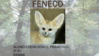 FENECO
ALUNO:EDENILSON O. FRANCISCO
2ª 01
 