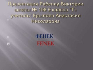 
 ФЕНЕК
 FENEK
 