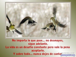 No importa lo que pase... no desmayes,
                 sigue adelante.
La vida es un desafío constante pero vale la pena
                    aceptarlo.
      Y sobre todo... nunca dejes de cantar.
 