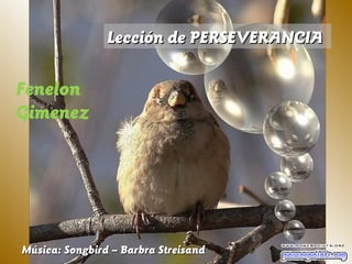 Lección de PERSEVERANCIA

Fenelon
Gimenez




Música: Songbird – Barbra Streisand
 