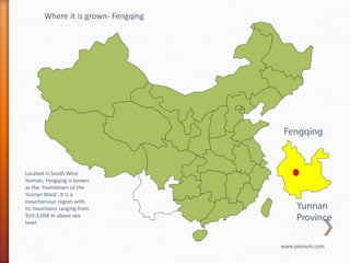 Where it is grown- Fengqing




                                      Fengqing



Located in South West
Yunnan, Fengqing is known
as the ‘Hometown of the
Yunnan Black’. It is a
mountainous region with
its mountains ranging from                Yunnan
919-3,098 m above sea
level.
                                          Province

                                     www.peonyts.com
 