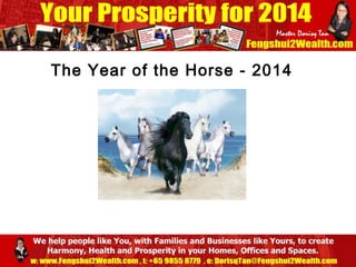 The Year of the Horse - 2014

 