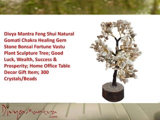 Divya Mantra Feng Shui Natural
Gomati Chakra Healing Gem
Stone Bonsai Fortune Vastu
Plant Sculpture Tree; Good
Luck, Wealth, Success &
Prosperity; Home Office Table
Decor Gift Item; 300
Crystals/Beads
 
