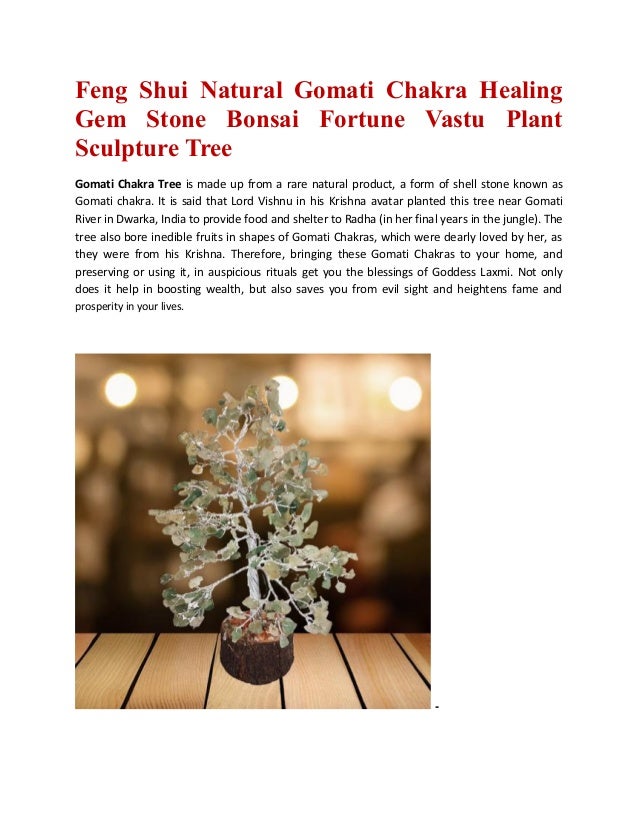 Feng shui natural gomati chakra healing gem stone bonsai fortune vast… Feng shui natural gomati chakra healing gem stone bonsai fortune vast…
