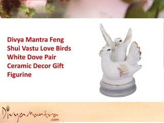 Divya Mantra Feng
Shui Vastu Love Birds
White Dove Pair
Ceramic Decor Gift
Figurine
 