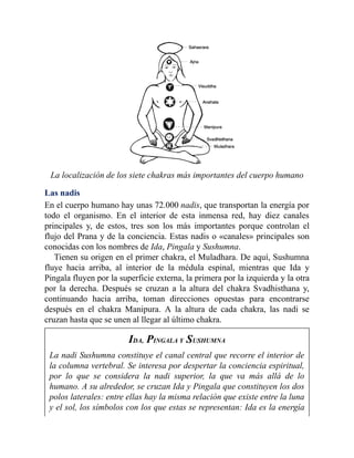 La localización de los siete chakras más importantes del cuerpo humano
Las nadis
En el cuerpo humano hay unas 72.000 nadis, que transportan la energía por
todo el organismo. En el interior de esta inmensa red, hay diez canales
principales y, de estos, tres son los más importantes porque controlan el
flujo del Prana y de la conciencia. Estas nadis o «canales» principales son
conocidas con los nombres de Ida, Pingala y Sushumna.
Tienen su origen en el primer chakra, el Muladhara. De aquí, Sushumna
fluye hacia arriba, al interior de la médula espinal, mientras que Ida y
Pingala fluyen por la superficie externa, la primera por la izquierda y la otra
por la derecha. Después se cruzan a la altura del chakra Svadhisthana y,
continuando hacia arriba, toman direcciones opuestas para encontrarse
después en el chakra Manipura. A la altura de cada chakra, las nadi se
cruzan hasta que se unen al llegar al último chakra.
IDA, PINGALA Y SUSHUMNA
La nadi Sushumna constituye el canal central que recorre el interior de
la columna vertebral. Se interesa por despertar la conciencia espiritual,
por lo que se considera la nadi superior, la que va más allá de lo
humano. A su alrededor, se cruzan Ida y Pingala que constituyen los dos
polos laterales: entre ellas hay la misma relación que existe entre la luna
y el sol, los símbolos con los que estas se representan: Ida es la energía
 