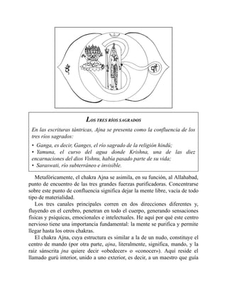 LOS TRES RÍOS SAGRADOS
En las escrituras tántricas, Ajna se presenta como la confluencia de los
tres ríos sagrados:
• Ganga, es decir, Ganges, el río sagrado de la religión hindú;
• Yamuna, el curso del agua donde Krishna, una de las diez
encarnaciones del dios Vishnu, había pasado parte de su vida;
• Saraswati, río subterráneo e invisible.
Metafóricamente, el chakra Ajna se asimila, en su función, al Allahabad,
punto de encuentro de las tres grandes fuerzas purificadoras. Concentrarse
sobre este punto de confluencia significa dejar la mente libre, vacía de todo
tipo de materialidad.
Los tres canales principales corren en dos direcciones diferentes y,
fluyendo en el cerebro, penetran en todo el cuerpo, generando sensaciones
físicas y psíquicas, emocionales e intelectuales. He aquí por qué este centro
nervioso tiene una importancia fundamental: la mente se purifica y permite
llegar hasta los otros chakras.
El chakra Ajna, cuya estructura es similar a la de un nudo, constituye el
centro de mando (por otra parte, ajna, literalmente, significa, mando, y la
raíz sánscrita jna quiere decir «obedecer» o «conocer»). Aquí reside el
llamado gurú interior, unido a uno exterior, es decir, a un maestro que guía
 