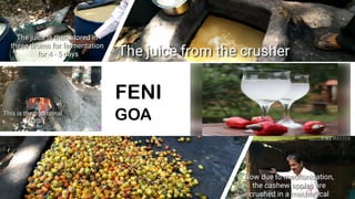 FENI
GOA