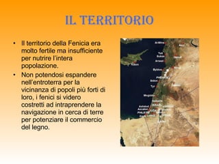 Il territorio Il territorio della Fenicia era molto fertile ma insufficiente per nutrire l’intera popolazione. Non potendosi espandere nell’entroterra per la vicinanza di popoli più forti di loro, i fenici si videro costretti ad intraprendere la navigazione in cerca di terre per potenziare il commercio del legno. 