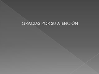 GRACIAS POR SU ATENCIÓN