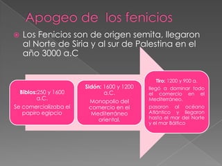 Apogeo de  los feniciosLos Fenicios son de origen semita, llegaron al Norte de Siria y al sur de Palestina en el año 3000 a.C