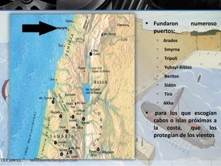  Fundaron numeroso 
puertos: 
 Arados 
 Smyrna 
 Trípoli 
 Yubayl-Biblos 
 Beritos 
 Sidón 
 Tiro 
 Akka 
 para los que escogían 
cabos o islas próximas a 
la costa, que los 
protegían de los vientos 
 