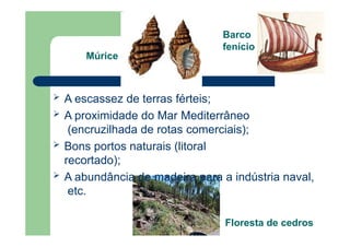 Múrice
 A escassez de terras férteis;
 A proximidade do Mar Mediterrâneo
(encruzilhada de rotas comerciais);
 Bons portos naturais (litoral
recortado);
 A abundância de madeira para a indústria naval,
etc.
Floresta de cedros
Barco
fenício
 