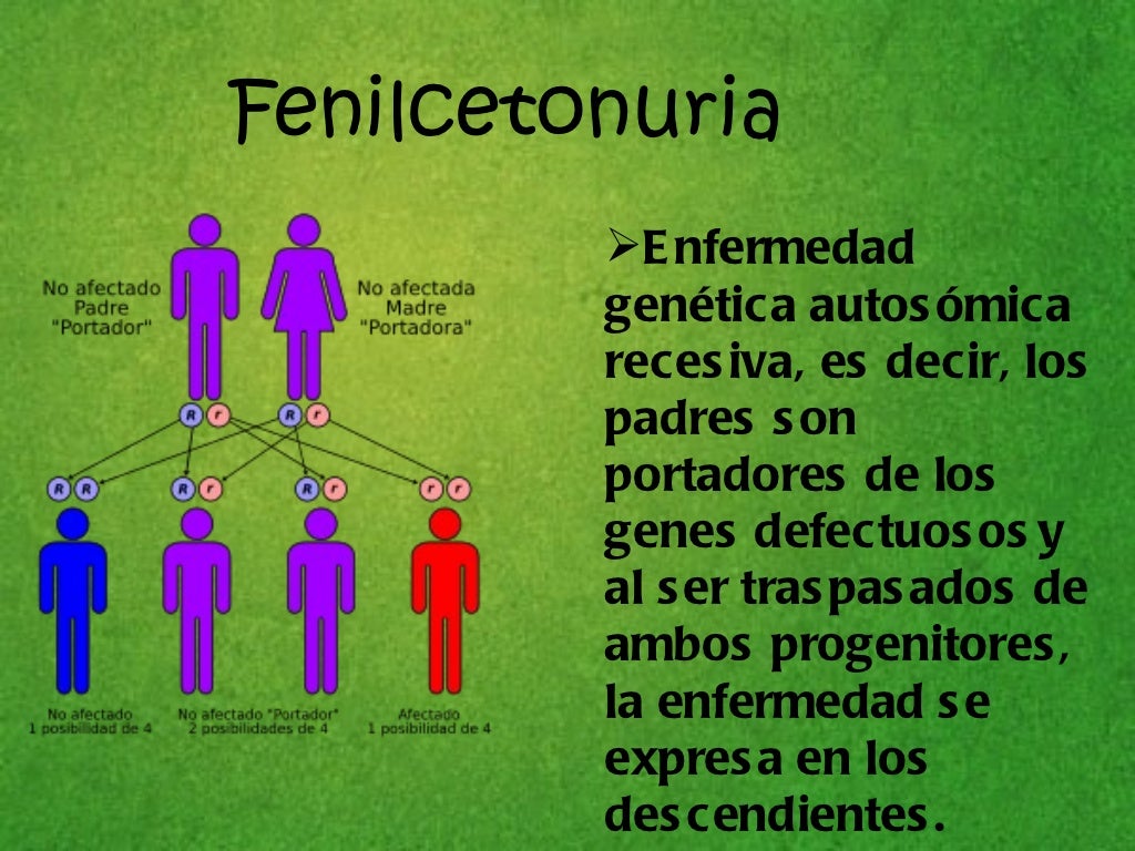Fenilcetonuria