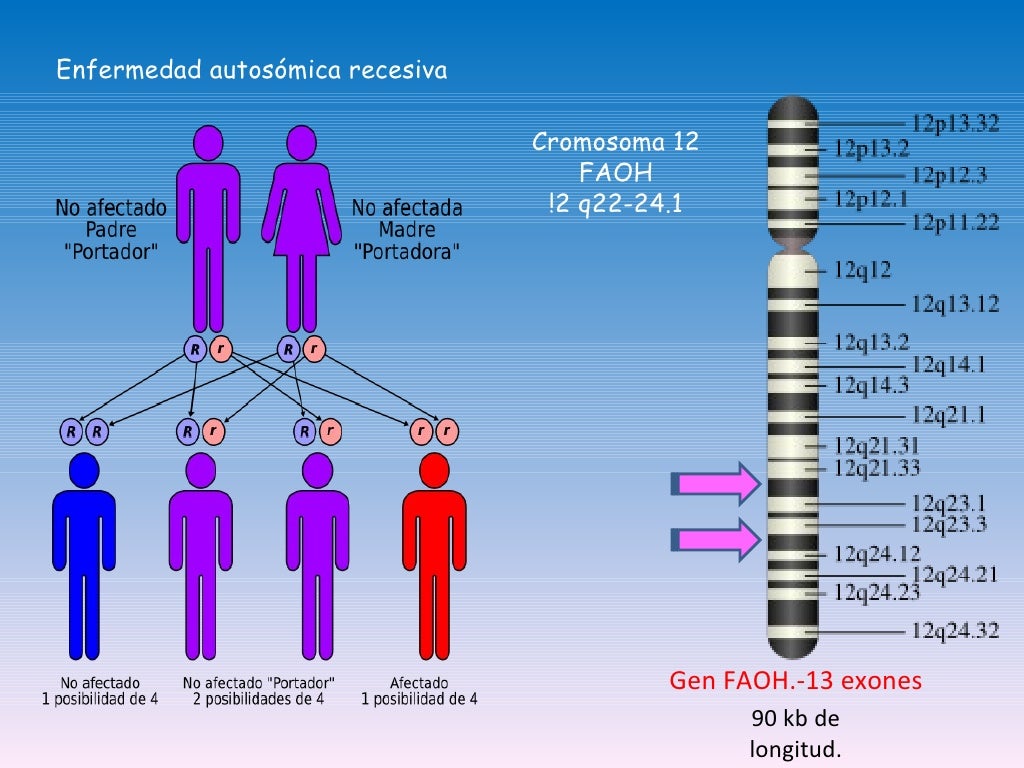 Fenilcetonuria