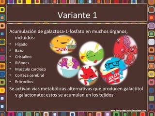 Variante 1
Acumulación de galactosa-1-fosfato en muchos órganos,
  incluidos:
•   Hígado
•   Bazo
•   Cristalino
•   Riñones
•   Musculo cardiaco
•   Corteza cerebral
•   Eritrocitos
Se activan vías metabólicas alternativas que producen galactitol
   y galactonato; estos se acumulan en los tejidos
 