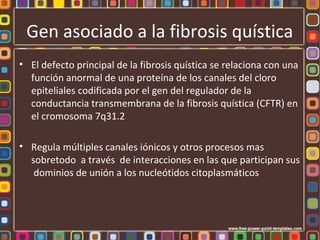 Gen asociado a la fibrosis quística
• El defecto principal de la fibrosis quística se relaciona con una
  función anormal de una proteína de los canales del cloro
  epiteliales codificada por el gen del regulador de la
  conductancia transmembrana de la fibrosis quística (CFTR) en
  el cromosoma 7q31.2

• Regula múltiples canales iónicos y otros procesos mas
  sobretodo a través de interacciones en las que participan sus
   dominios de unión a los nucleótidos citoplasmáticos
 