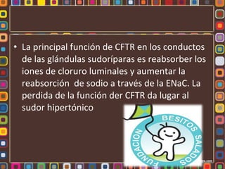 • La principal función de CFTR en los conductos
  de las glándulas sudoríparas es reabsorber los
  iones de cloruro luminales y aumentar la
  reabsorción de sodio a través de la ENaC. La
  perdida de la función der CFTR da lugar al
  sudor hipertónico
 