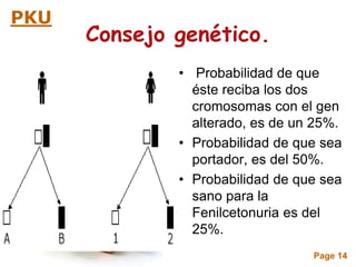 Page 14
PKU
Consejo genético.
• Probabilidad de que
éste reciba los dos
cromosomas con el gen
alterado, es de un 25%.
• Probabilidad de que sea
portador, es del 50%.
• Probabilidad de que sea
sano para la
Fenilcetonuria es del
25%.
 