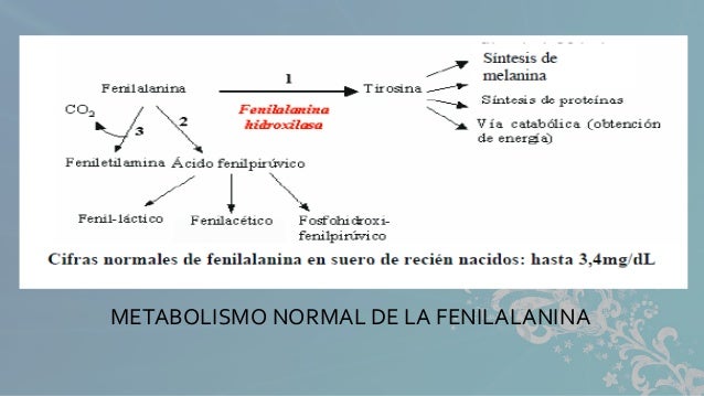5 maneras de luchar recetas metabolismo acelerado