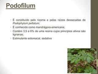 Podofilum

 • É constituído pelo rizoma e pelas raízes dessecadas de
   Podophylum peltatum;
 • É conhecido como mandrágora-americana;
 • Contém 3,5 a 6% de uma resina cujos princípios ativos são
   lignanas;
 • Estimulante estomacal, sedativo
 