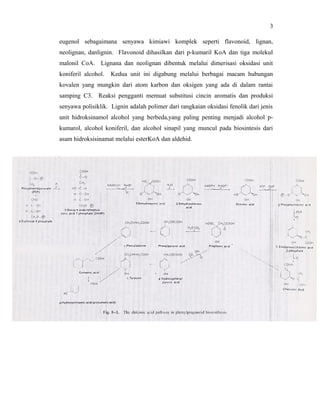 3

eugenol sebagaimana senyawa kimiawi komplek seperti flavonoid, lignan,
neolignan, danlignin. Flavonoid dihasilkan dari p-kumaril KoA dan tiga molekul
malonil CoA. Lignana dan neolignan dibentuk melalui dimerisasi oksidasi unit
koniferil alcohol.   Kedua unit ini digabung melalui berbagai macam hubungan
kovalen yang mungkin dari atom karbon dan oksigen yang ada di dalam rantai
samping C3. Reaksi pengganti memuat substitusi cincin aromatis dan produksi
senyawa polisiklik. Lignin adalah polimer dari rangkaian oksidasi fenolik dari jenis
unit hidroksinamol alcohol yang berbeda,yang paling penting menjadi alcohol p-
kumarol, alcohol koniferil, dan alcohol sinapil yang muncul pada biosintesis dari
asam hidroksisinamat melalui esterKoA dan aldehid.
 