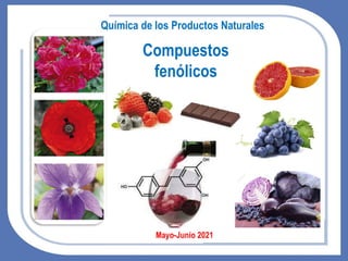 Mayo-Junio 2021
Compuestos
fenólicos
Química de los Productos Naturales
 
