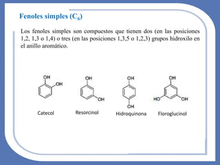 Los fenoles simples son compuestos que tienen dos (en las posiciones
1,2, 1,3 o 1,4) o tres (en las posiciones 1,3,5 o 1,2,3) grupos hidroxilo en
el anillo aromático.
Fenoles simples (C6)
Catecol Resorcinol Hidroquinona Floroglucinol
 