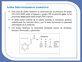 ▪ Esta clase de ácidos fenólicos se caracteriza por la presencia del grupo
CH=CH-COOH unido al benceno y grupos OH en posición para, en las
posiciones meta puede haber grupos OH o metoxi.
▪ El doble enlace carbono de la cadena aumenta la resonancia química,
estabilizando los radicales libres y por lo tanto incrementa la capacidad
antioxidante de la molécula.
▪ Los ácidos fenólicos se encuentran formando ésteres de alcoholes,
tartratos, flavonoides y glucósidos
Ácidos hidroxicinámicos (cumárico)
 