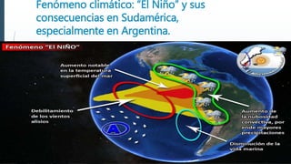 Fenómeno climático: “El Niño” y sus
consecuencias en Sudamérica,
especialmente en Argentina.
 
