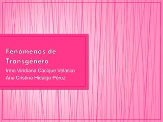 Irma Viridiana Cacique Velasco
Ana Cristina Hidalgo Pérez
 