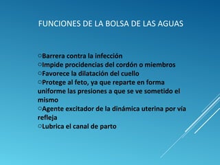 FUNCIONES DE LA BOLSA DE LAS AGUAS 
oBarrera contra la infección 
oImpide procidencias del cordón o miembros 
oFavorece la dilatación del cuello 
oProtege al feto, ya que reparte en forma 
uniforme las presiones a que se ve sometido el 
mismo 
oAgente excitador de la dinámica uterina por vía 
refleja 
oLubrica el canal de parto 
 