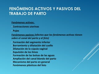 FENÓMENOS ACTIVOS Y PASIVOS DEL 
TRABAJO DE PARTO 
Fenómenos activos: 
oContracciones uterinas 
oPujos 
Fenómenos pasivos (efectos que los fenómenos activos tienen 
sobre el canal del parto y el feto) 
oFormación del segmento inferior 
oBorramiento y dilatación del cuello 
oDilatación de la cúpula vaginal 
oExpulsión de los limos 
oFormación de las bolsas de las aguas 
oAmpliación del canal blando del parto 
oMecanismo del parto en general 
oFenómenos plásticos del feto 
 
