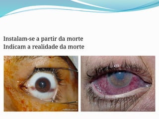 Instalam-se a partir da morte
Indicam a realidade da morte
 
