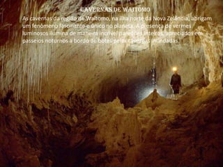 Cavernas de Waitomo
As cavernas da região de Waitomo, na ilha norte da Nova Zelândia, abrigam
um fenômeno fascinante e único no planeta. A presença de vermes
luminosos ilumina de maneira incrível paredões inteiros, apreciados em
passeios noturnos a bordo de botes pelas cavernas inundadas.
 