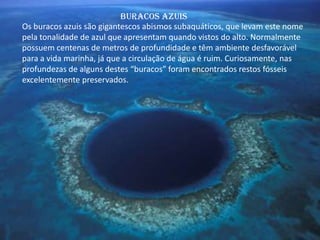 Buracos azuis
Os buracos azuis são gigantescos abismos subaquáticos, que levam este nome
pela tonalidade de azul que apresentam quando vistos do alto. Normalmente
possuem centenas de metros de profundidade e têm ambiente desfavorável
para a vida marinha, já que a circulação de água é ruim. Curiosamente, nas
profundezas de alguns destes “buracos” foram encontrados restos fósseis
excelentemente preservados.
 